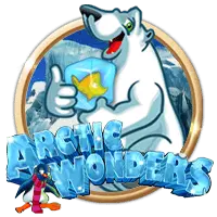 Arctic Wonders